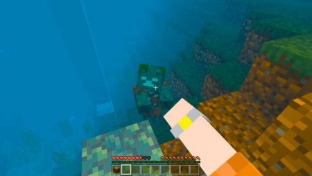Water World