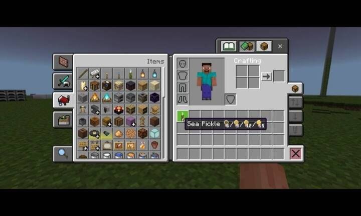 Item Descriptions 1.21+