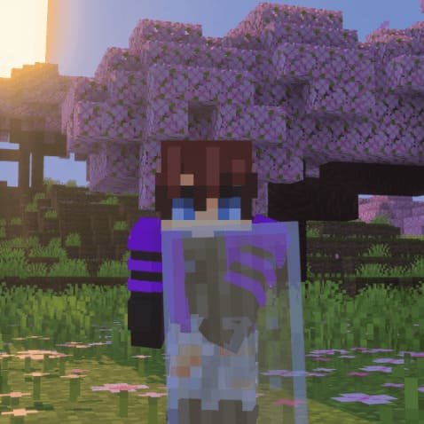 Transparent Shields 26+