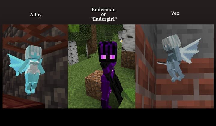 All Villagers Girls 1.21+ — screenshot 3