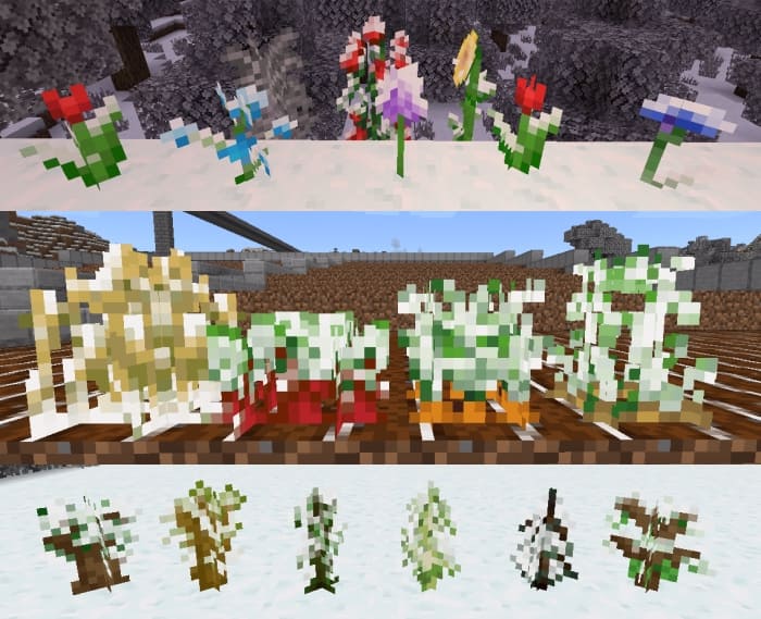Winter 1.20+