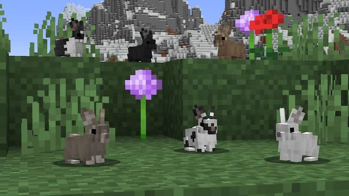 3D Rabbits 1.20+