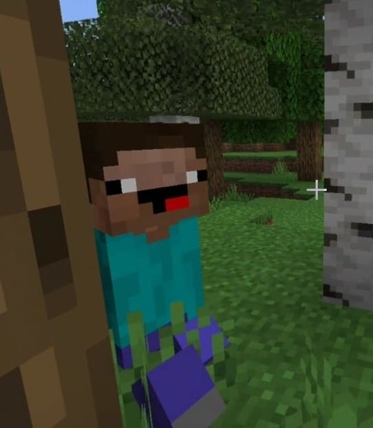 All Mobs Steve — screenshot 8