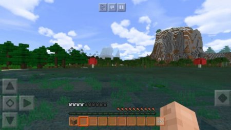 No Indicators