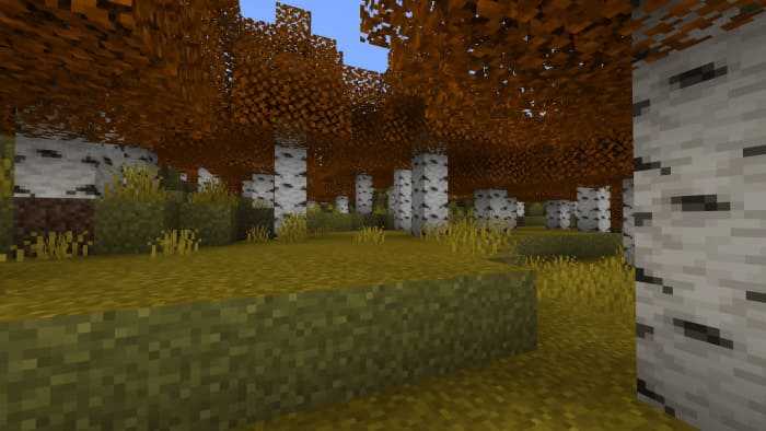 3D Textures
