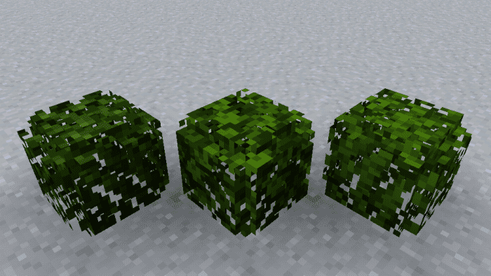 Textures for 3D Leaves
