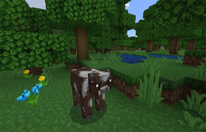 Haven Texture for Weak Devices — screenshot 2