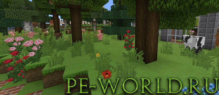 Xenocontendi PE 16×16 — screenshot 1