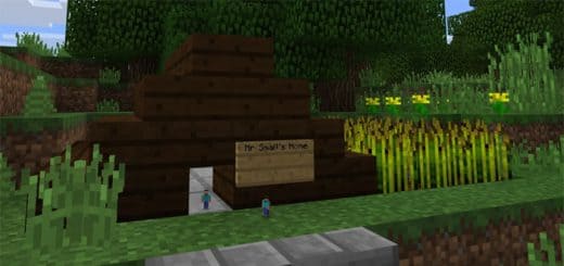 Tiny Player — screenshot 1