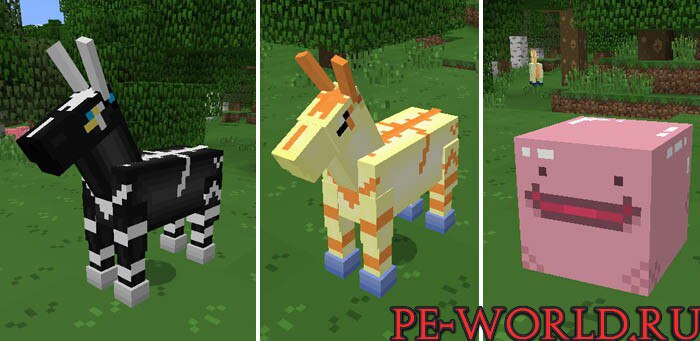 PokeAddon — screenshot 2