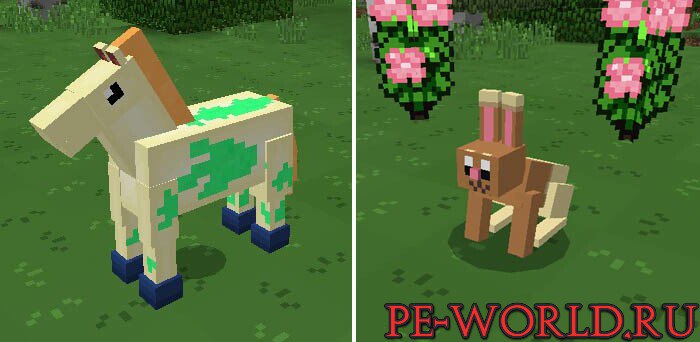 PokeAddon — screenshot 5