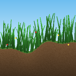 Lush Meadows