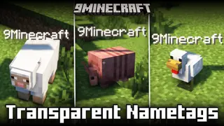 Transparent Nametags Mod (26.2, 1.21.11) – Makes Nametag Backgrounds Transparent
