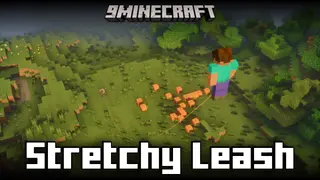 Stretchy Leash Mod (26.2, 1.21.11) – Configure Leash Features