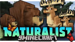 Naturalist Mod (26.3, 1.20.1) – The Wildlife is Here