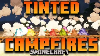Tinted Campfires Mod (26.2, 1.20.1) – Change The Color Of The Campfire