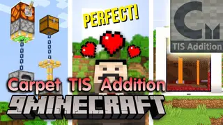 Carpet TIS Addition Mod (26.3, 1.20.1) – Useful Tools and Interesting Features