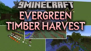 Evergreen Timber Harvest Mod (1.12.2) – Build with Modern Wood Types in 1.12.2