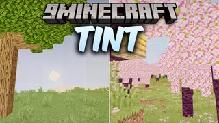 Tint Shaders (26.2, 1.20.1) – Path-Traced Lighting with Clean Vanilla Shadows