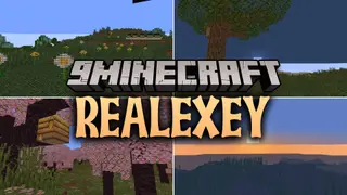 ReAlexey Shaders (26.3, 1.20.1) – Turn Pixels Into Meme Portraits