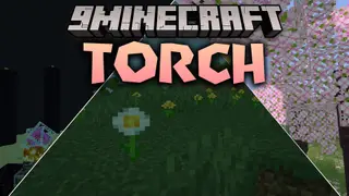 Torch Shaders (26.3, 1.20.1) – Spooky Ambient Lighting for Low-End PCs