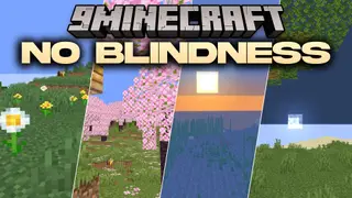 No Blindness Shaders (26.3, 1.20.1) – Remove Blindness and Dark Overlays