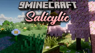 Salicylic Shaders (26.3, 1.20.1) – Cinematic Lighting and Soft Shadows