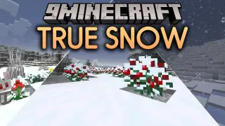 True Snow Mod (26.3, 26.1.2) – Turn Cold Biomes Into Frosty Atmospheric Winter