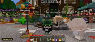 Baby Player (26+, 1.21) – MCPE/Bedrock Texture Pack