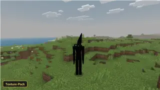 Old Playmate Texture (26+, 1.21) – MCPE/Bedrock Texture Pack
