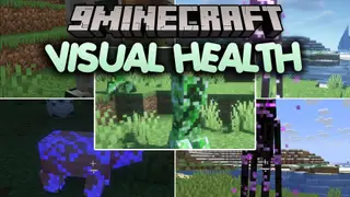 Visual Health Mod (26.3, 1.20.1) – See Real Combat Wounds on Every Hurt Mob
