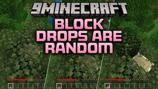 Block Drops Are Random Addon (26.x) – Random Item Drops for Every Broken Block