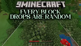 Every Block Drops Are Random Addon (26.x) – Randomized Block Loot
