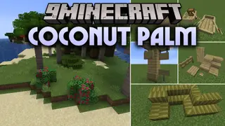 Coconut Palm Mod (1.20.1) – Turn Sunny Coastlines Into Tropical Island Paradises