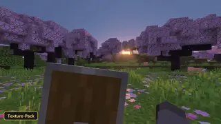Ponky's Low Shield (26+) – MCPE/Bedrock Texture Pack
