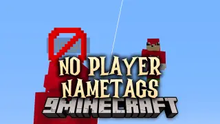 No Player Nametags Data Pack (1.21.11, 1.20.1) – Hide Your Name for True