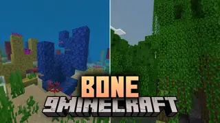 Bone Shader (26.x, 1.21) – Custom Biome Fog and Sky Lighting for Any Device