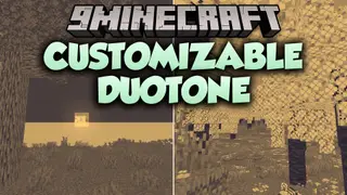 Customizable Duotone Shaders (26.3, 1.20.1) – Stylized Dual-Tone Color Palette