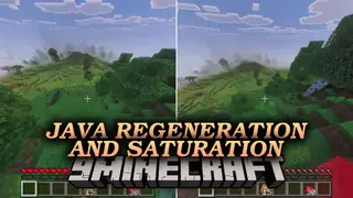 Java Regeneration and Saturation Addon (26.x, 1.21) – Fast Java Healing