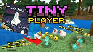 Tiny Player Texture Pack (26.x, 1.21) – MCPE/Bedrock