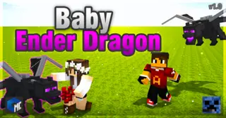 Baby Ender Dragon Addon (1.20) – MCPE/Bedrock Mod