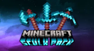 No Public Chat — Minecraft Bedrock Texture Pack Download