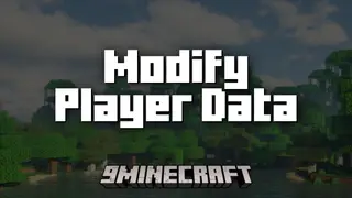 Modify Player Data Mod (26.3, 1.20.1) – Allows Data Commands To Modify Player Data