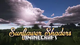 Sunflawer Shaders (26.3, 1.20.1) – Relaxing in the Surreal World