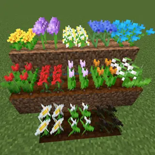 Flower Seeds 2