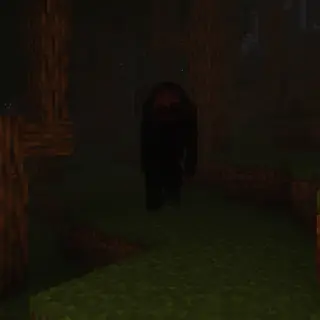 THE DISTURBED