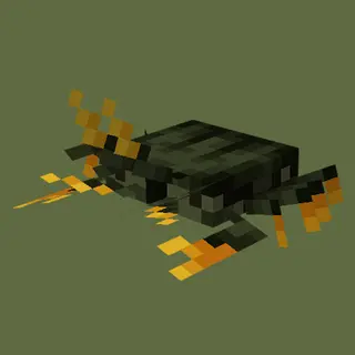 Unusual Prehistory