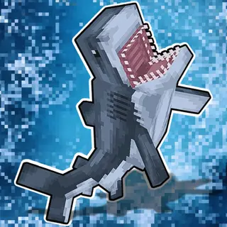 Ben's Sharks