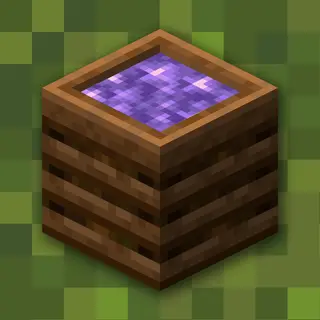Display Containers