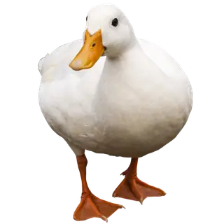 Duck Origin (Origins: Legacy)
